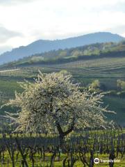 DOMAINE WASSLER Anne, Marc & Matthieu