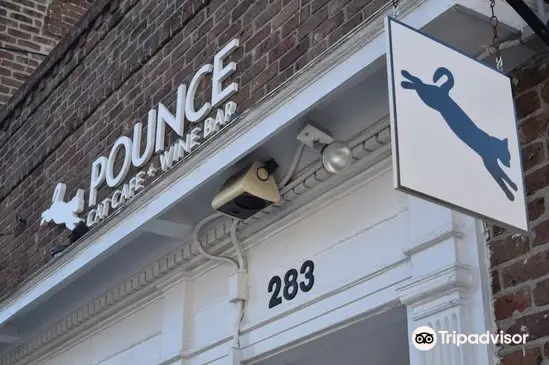 Pounce Cat Cafe + Wine Bar