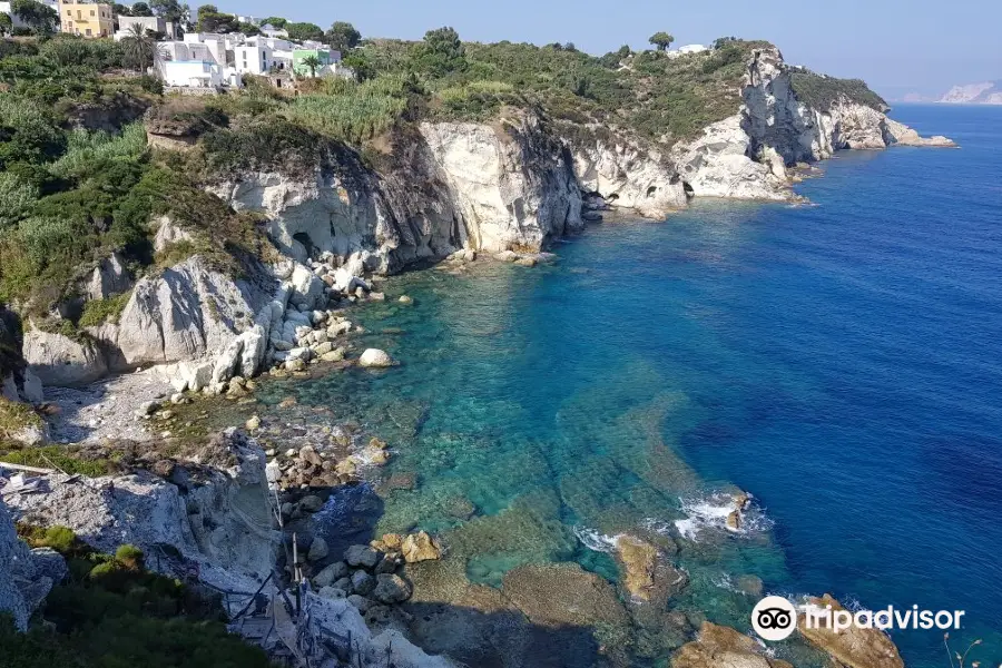 Cala Cecata