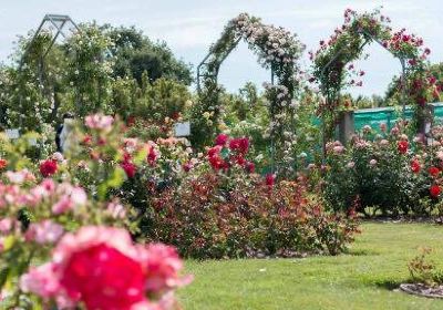 Jardin des Plantes