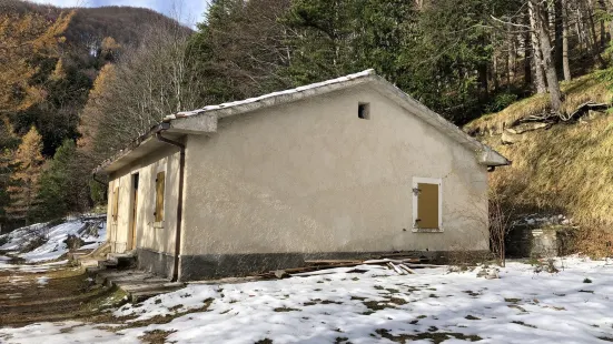 Nella Foresta di San Gerbone