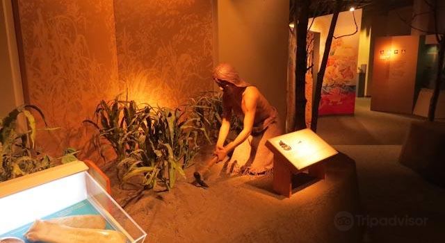Dickson Mounds State Museum