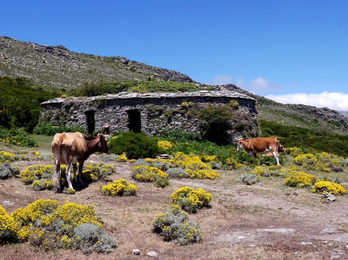 Hotels near Glacieres de Cardo
