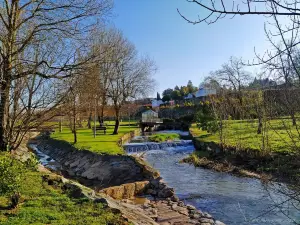 Devesa Park
