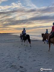 Brokeatoe Horseback Riding on the Beach