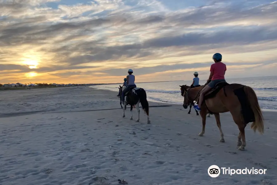 Brokeatoe Horseback Riding on the Beach