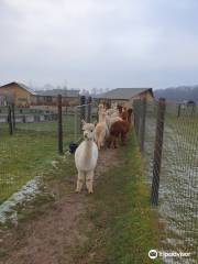 Alpacafarm Vorstenbosch