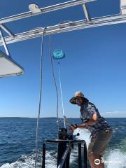 Parasail Door County