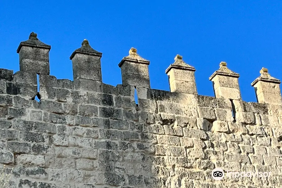 Murallas de Cuellar