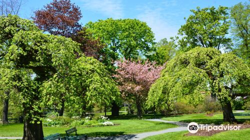 Halifax Public Gardens