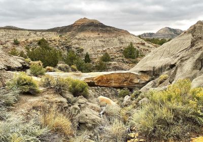 Makoshika State Park