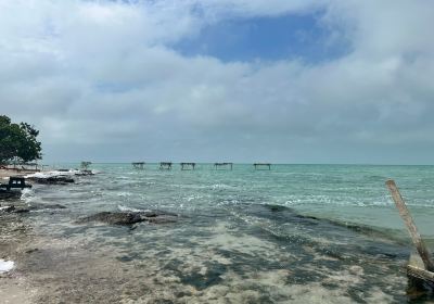 Ambergris Caye