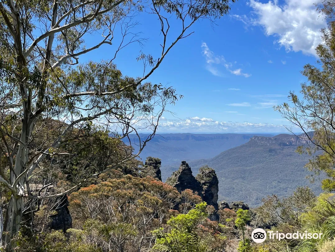 5_Blue Mountains