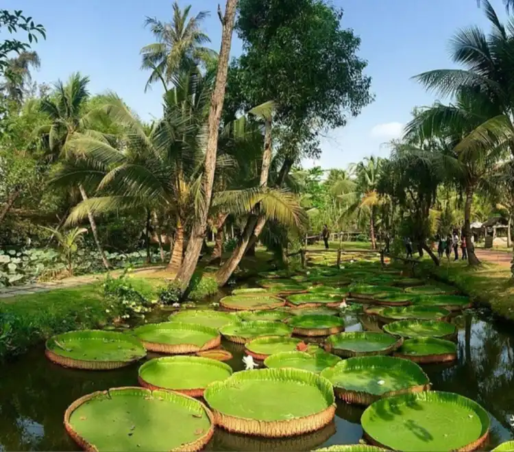 Hotels in der Nähe von Binh Quoi Village