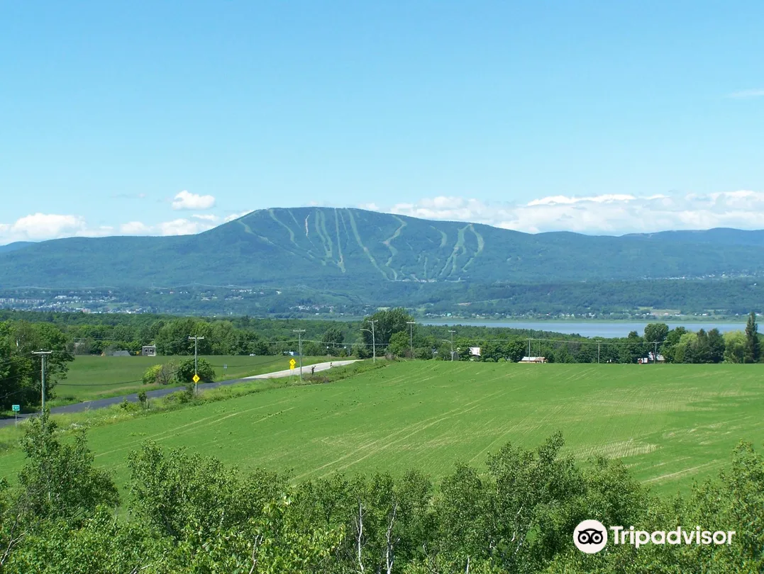 1_The Observation Tower