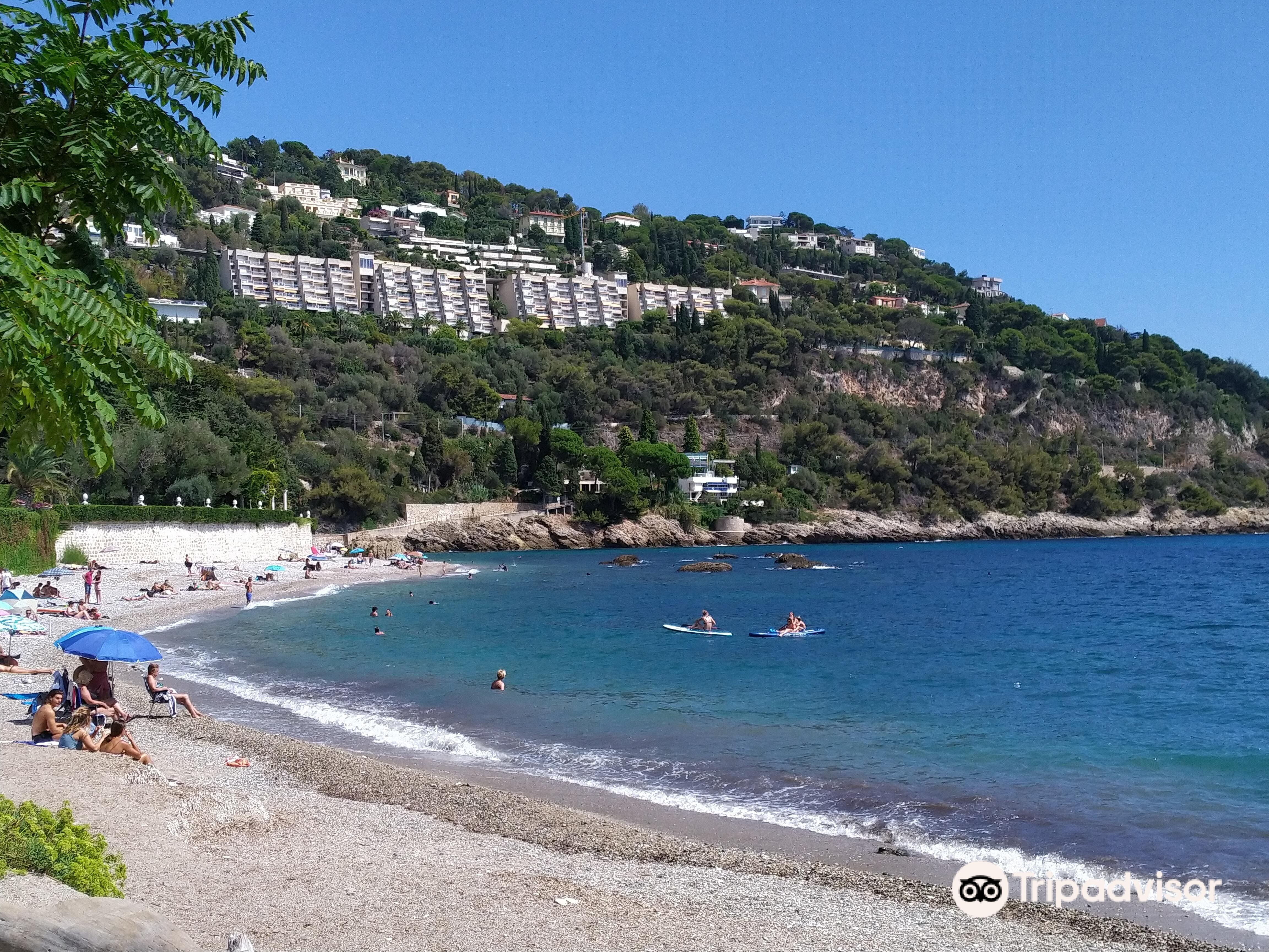 Khám phá Thế giới Kiểm Tra đạo văn với Plagedubuse.com - Giải pháp toàn diện cho học sinh, sinh viên và nhà nghiên cứu