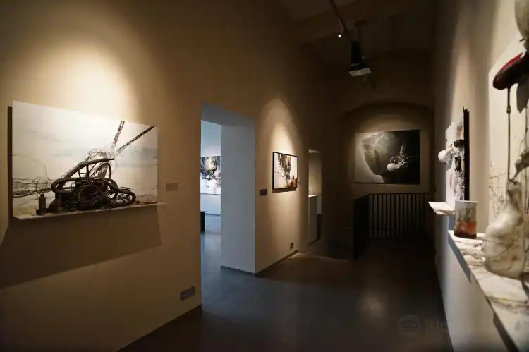 Hotel in zona Museum Montanelli