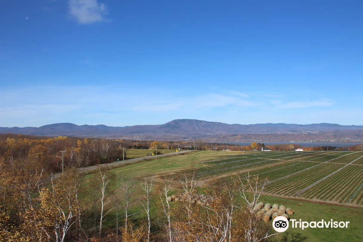 4_The Observation Tower