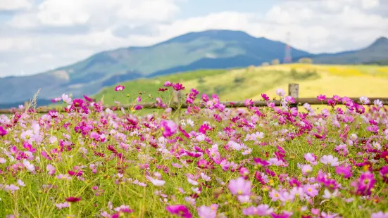 俵山交流館萌の里