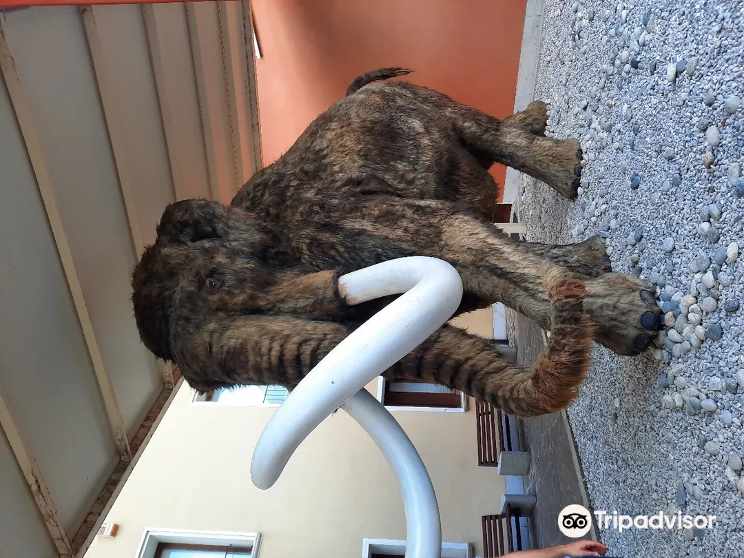 5_Silvia Zenari Civic Museum of Natural History