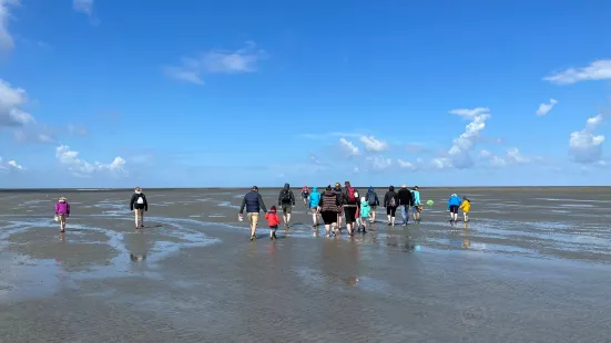 Wattfuehrergemeinschaft Dithmarscher Nordseekueste