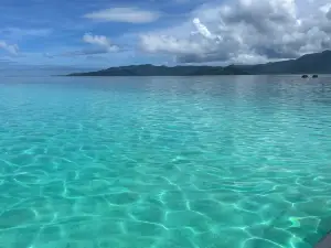 Pohnpei Surf and Dive Club