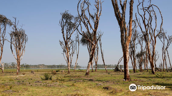 Заповедник Кресент Айленд Гейм