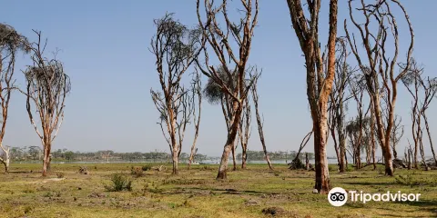 Crescent Island Game Park