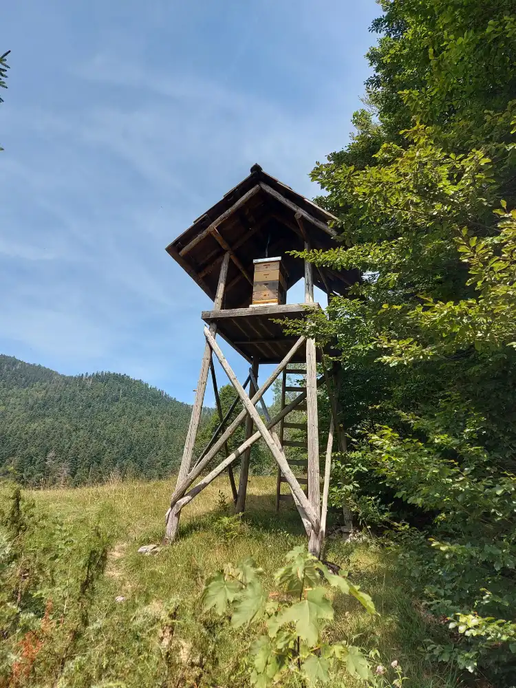 Fužine
