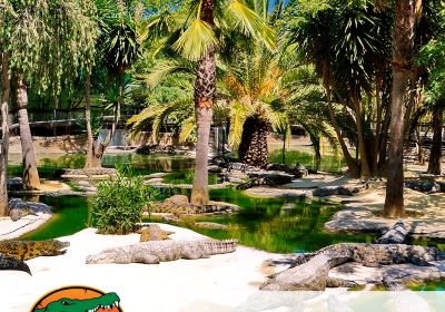 Crocodile Park