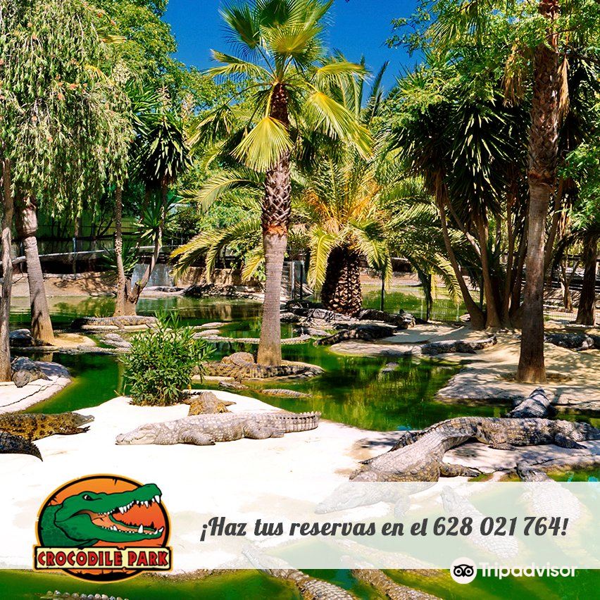 TORREMELINOS Crocodile Park