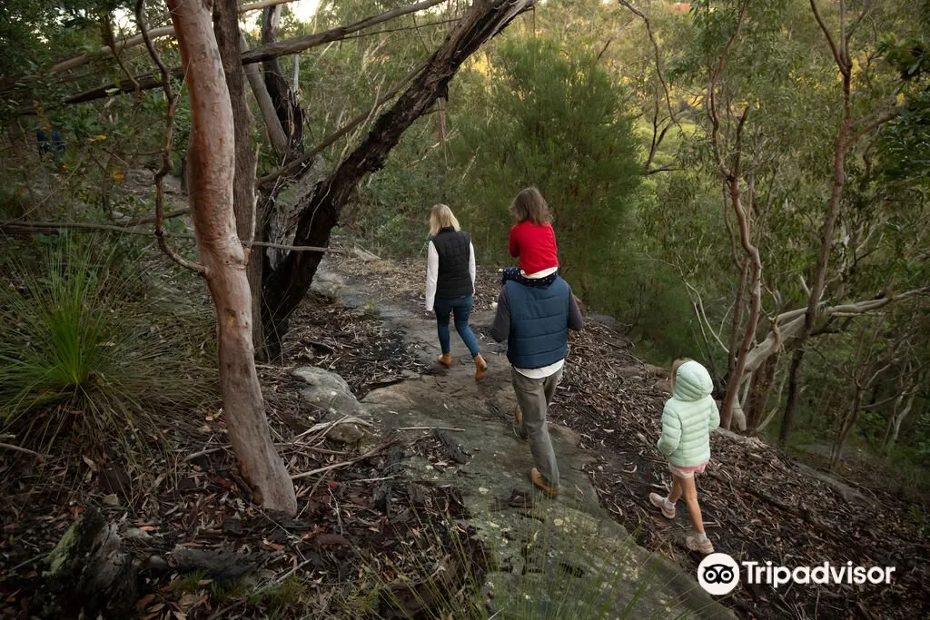 4_Ku-ring-gai Wildflower Garden