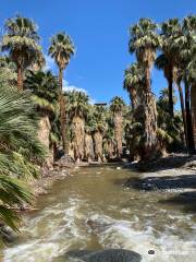 Palm Canyon Trail