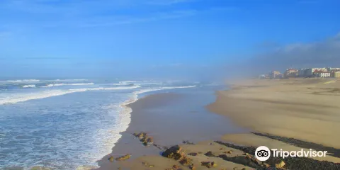 Praia do Pedrogao