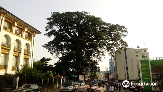 Freetown