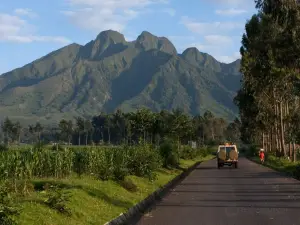 Mgahinga Gorilla National Park