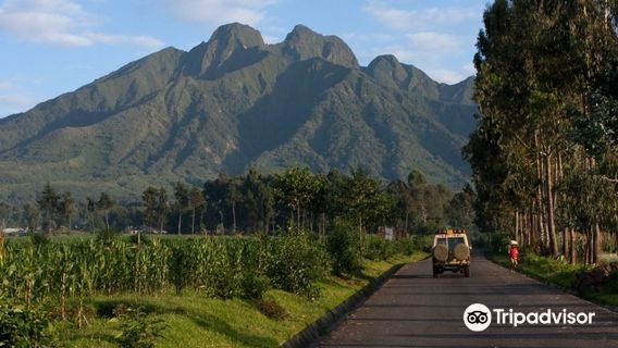 Mgahinga Gorilla National Park