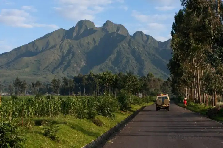 Hotels near Mgahinga Gorilla National Park
