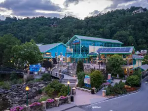 萊利大煙山水族館