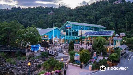 Ripley's Aquarium of the Smokies
