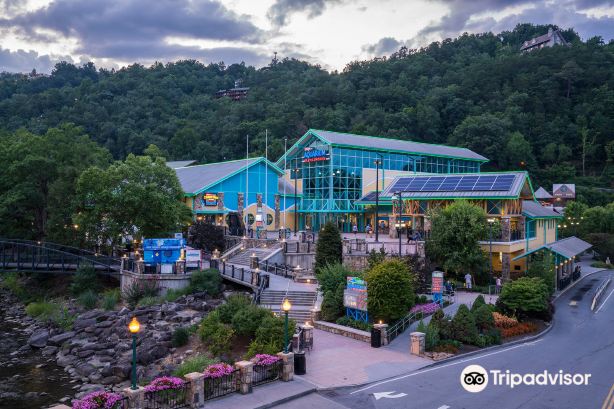 Ripley's Aquarium of the Smokies