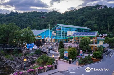 Ripley's Aquarium of the Smokies