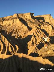 Las Bardenas Reales