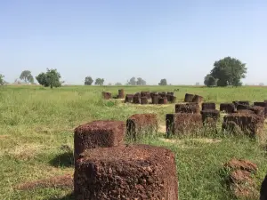 Stone Circles of Senegambia