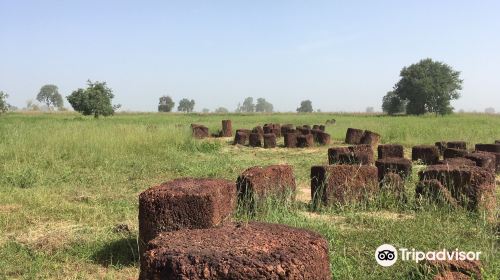 Stone Circles of Senegambia