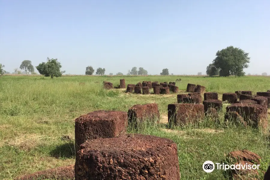 Stone Circles of Senegambia