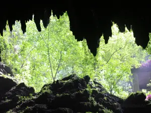Parque Nacional de las Cavernas del Río Camuy
