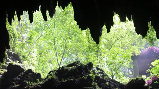 Rio Camuy Cave Park