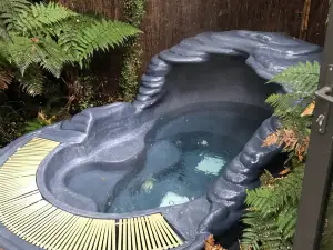 Franz Josef Glacier Hot Pools