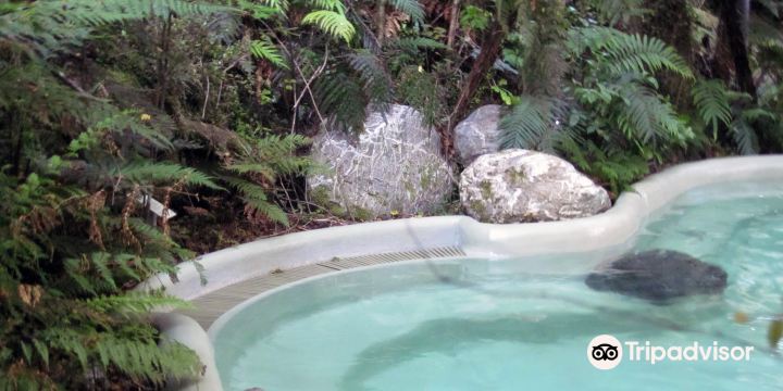 Franz Josef Glacier Hot Pools
